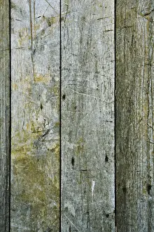 Ruined Historic Structure Prints: Texture of gray boards