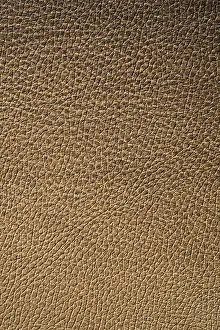 Deserted Building Surface Prints: Texture of leather