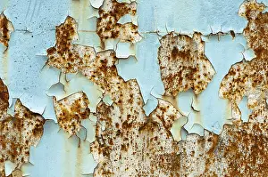 Rusty Metal Texture Prints: Texture, metal with flaking paint, rust