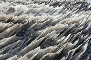Eastern Europe Rock Formations Prints: Texture of salt mountain, Sovata