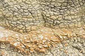 US American Desert Landscape Prints: Textured patterns formed in dry