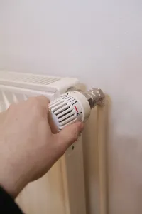 Power Supply Prints: Thermostat at heating elements