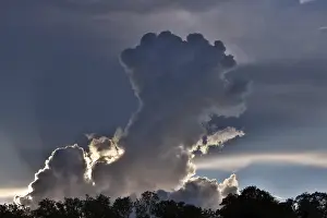 Images Dated 24th May 2024: Thundercloud Over Forest Print