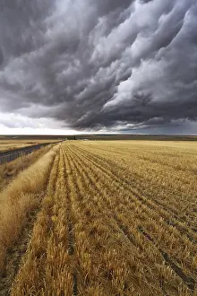 Montana Thunderstorm Prints: Thunderclouds above fields after harvesting
