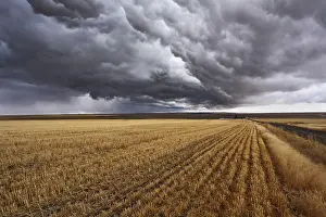 Cloudy Landscape Photography Prints: Thunderclouds above fields after harvesting