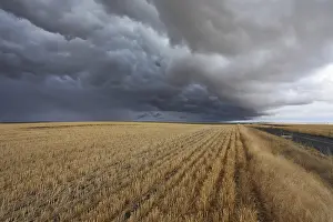 Cloudy Landscape Photography Prints: Thunderclouds above fields after harvesting