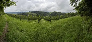 Images Dated 30th May 2024: Thunderclouds Print over Hilly Landscape with Vineyard