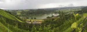 Images Dated 30th May 2024: Thunderclouds over Vineyard Print, Sulmsee, Austria