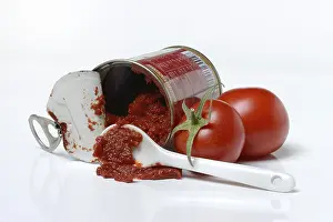 Tinned Tomatoes Prints: Tinned tomato paste, Tomatoes, Germany