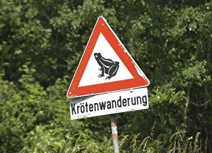 Wildlife Protection Prints: Toad migration or frog migration