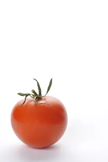 Fresh Tomato Slice Prints: Tomato