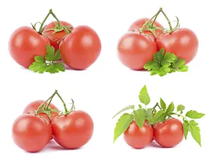 Fresh Tomato Prints: Tomato