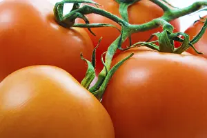 Food Images Prints: Tomato background