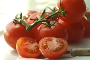 Solanaceae Plant Prints: Tomatoes