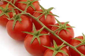 Isolated Vegetable Images Prints: Tomatoes