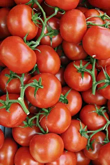 Fresh Vegetable Photography Prints: Tomatoes