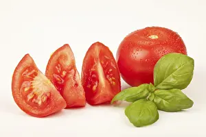 Vitamin Rich Tomatoes Prints: Tomatoes with basil