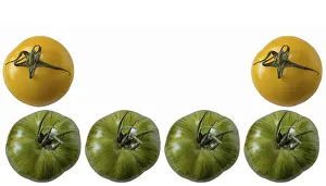Empty Plate Food Styling Prints: Tomatoes, cropped with text space