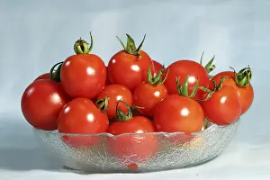 Tomato Plant Prints: Tomatos