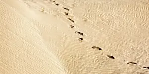 North African Dunes Prints: Traces in the sand, structures on a sand dune