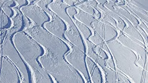 Central Europe Winter Landscape Prints: Tracks in the snow