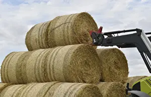 Agricultural Machine Germany Prints: Tractor with bale fork stacking round bales