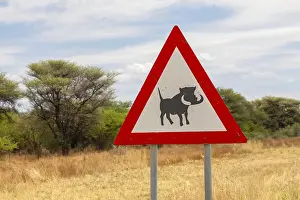 Prints of Traffic sign with warning of warthogs, Namibia Warthog Prints: Namibia Traffic Sign Print - Warthog Warning