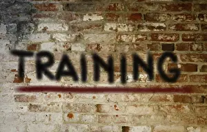 Symbolic Picture Meaning Prints: Training Concept