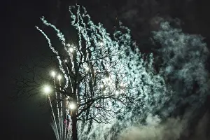 Multicolored Night View Prints: Tree fireworks