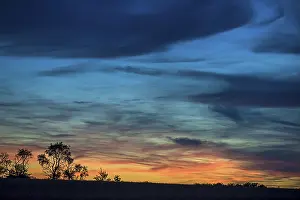 Evening Mood In Bavaria Prints: Tree silouettes with dark clouds at sunset