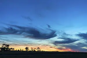 Central Europe Evening Sky Prints: Tree silouettes with dark clouds at sunset