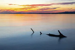 Sunset On Lake Constance Prints: Tree trunk in the water in front of sunset