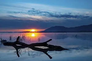Blue Hour Lake Scene Prints: Tree trunk on water surface with reflection at blue hour