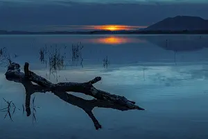 Blue Hour Lake Scene Prints: Tree trunk on water surface with reflection at blue hour