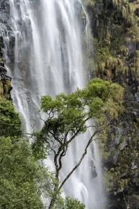 Long Time Exposure Photography Prints: Tree in front of a waterfall, Lisbon Falls