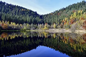 Baiersbronn Autumn Landscape Prints: Trees reflected in the Sankenbachsee