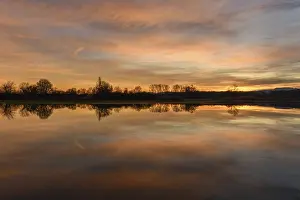 Snowy Countryside Landscape Prints: Trees reflected in the water at sunset
