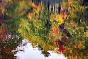 US American Fall Scenery Prints: Trees reflected in water surface