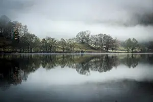 Tree Reflections In Water Prints: Trees reflected in water surface