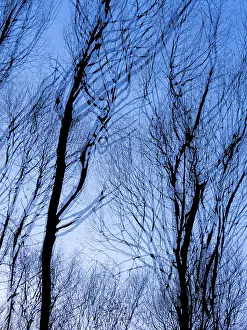 Central Europe Winter Time Photography Prints: Trees in winter, double exposure and in motion