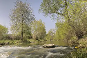 Springtime In Europe Prints: Triesting river in spring, Triestingtal valley