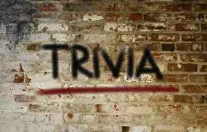 Symbolic Picture Prints: Trivia Concept