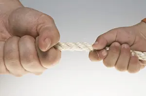 Tug Of War Prints: Tug of war