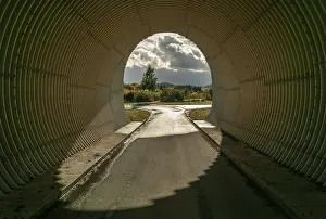 Colourful Autumn Landscape Prints: Through the tunnel