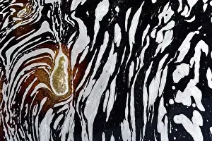 Latin America Landscape Photo Prints: Typical foam structures on a blackwater river