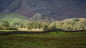 United Kingdom Travel Photography Prints: Typical landscape with stone wall