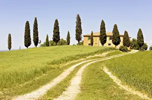Rolling Hills Of Central Italy Prints: Typical Tuscany
