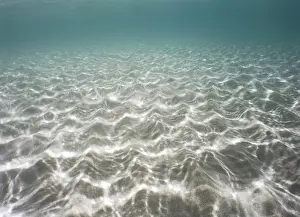 Colorful Nature Scene Prints: Underwater