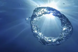 Underwater World Photography Prints: Underwater Bubble Ring Ascends towards the Sun