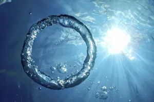 Underwater Bubble Ring Prints: Underwater Bubble Ring Ascends towards the Sun